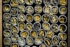 Wildbienennest