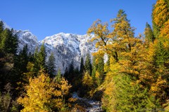 Karwendel