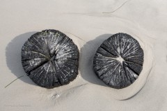 Buhnen am Weststrand auf dem Darß