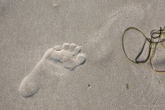 Spuren im Sand