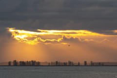 Lichtblick am frühen Morgen