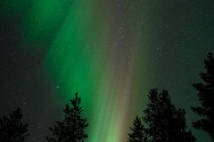 Nordlicht bei Luosto (Finnland)