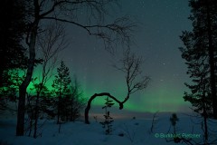 Nordlicht über Pyhätunturi (Lappland)