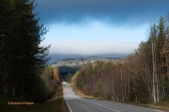 Herbst in Finnisch Lappland