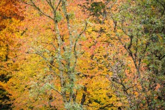 Einfach bunt