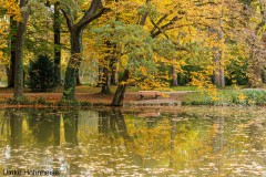 Herbst im Kurpark