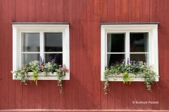Ein- und Ausblick