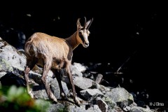 Blick zurück