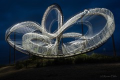 Installation Tiger and Turtle