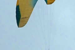 Paraglider