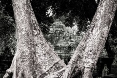 Verfallener Tempel Beng Mealea bei Siem Reap (Kambodscha)