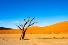 Deadvlei - Namibia