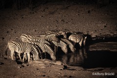 Nächtliches Saufgelage