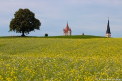 Aufgereiht