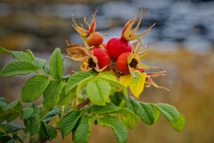 Ein Hauch von Herbst