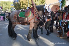 Einzug der Festwirte - Die Hottemaxe frisch geföhnt