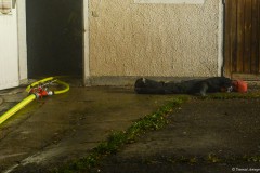 Atemschutzübung der Feuerwehr, drei Puppen mußten geborgen werden. 80 kg, 40 kg, und Kinderpuppe 10 kg