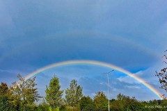 Regenbogen