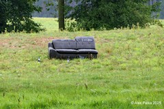Sofa in der Wiese 
