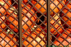 Kürbisse hinter Gittern