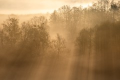 Morgendunst