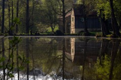 Langweiher spiegelglatt
