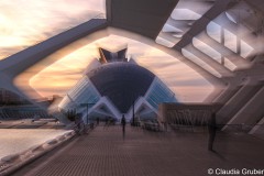 Calatrava - Palau de les Arts in Valencia