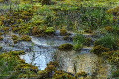 Quellwassser am Angergraben