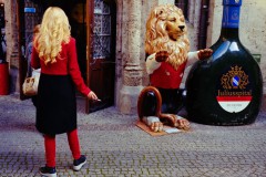 Münchner Löwin