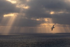 Lichtmalerei im Himmel