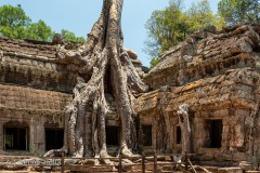 Reiner_Hulla_Angkor-TaProhm