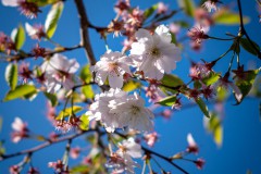 Endlich Frühling