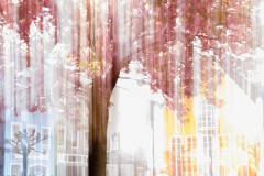 Frühling in der Stadt