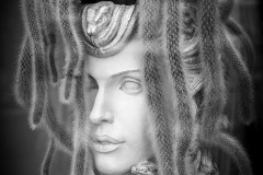 Medusa