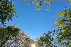 ohne Titel