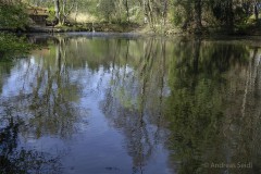 Spiegelweiher