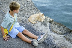 Tierische Begegnung