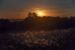 Partielle Sonnenfinsternis