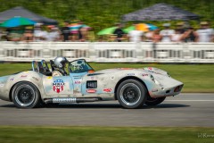 Motorsport