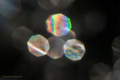 Interferenzmuster (1)