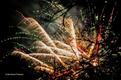 Feuerwerk verschmilzt mit Baum