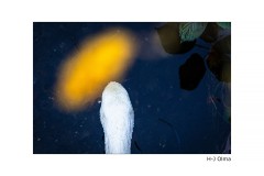 Farbenspiel am Wasser
