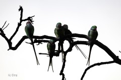 In bester Gesellschaft