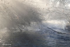 Nebel über der Attel