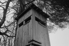 Niclas_Wisbrun_1-85567-24