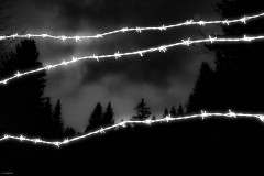 Niclas_Wisbrun_21