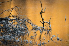 Farben des Winters 2
