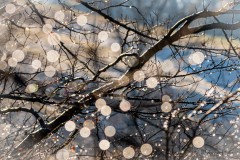Farben des Winters 3