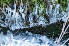 Farben des Winter 4