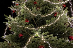Christbaum